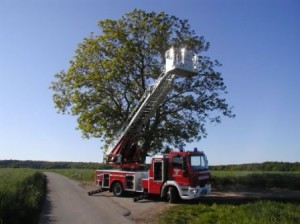 DLK 18/12 der Feuerwehr Otterberg